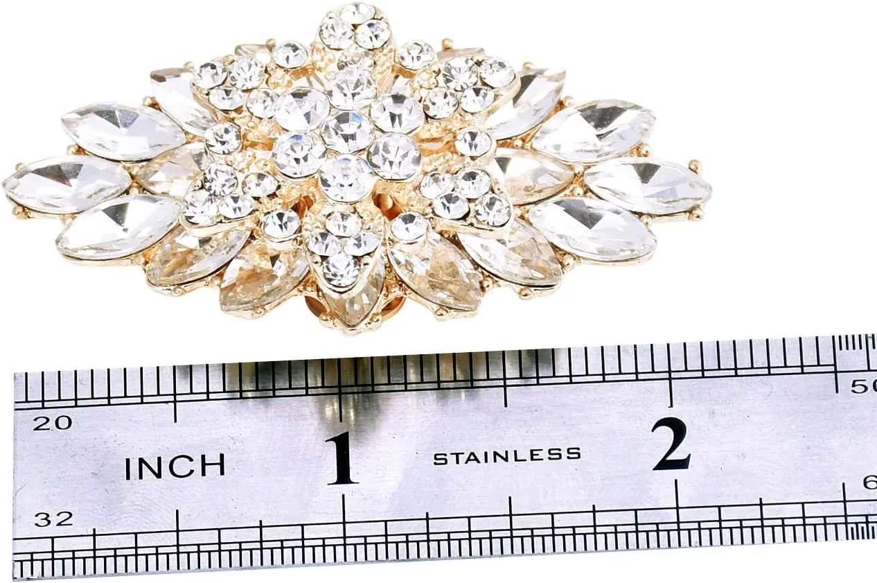 ELEGANTPARK Decorative Shoe Clips for Pumps Rhinestones Shoes Jewelry Clips Clutch Dress Hat Shoe Clip 2 Pcs