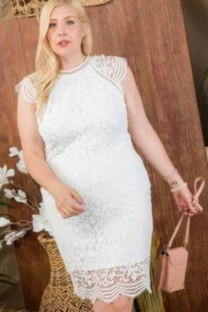 Lace Crochet Mini Raglan Dress With Zipper Back (Plus Size)