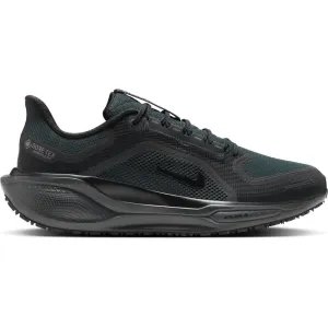 Mens Air Zoom Pegasus 41 GORE-TEX - Black/Black/Anthracite