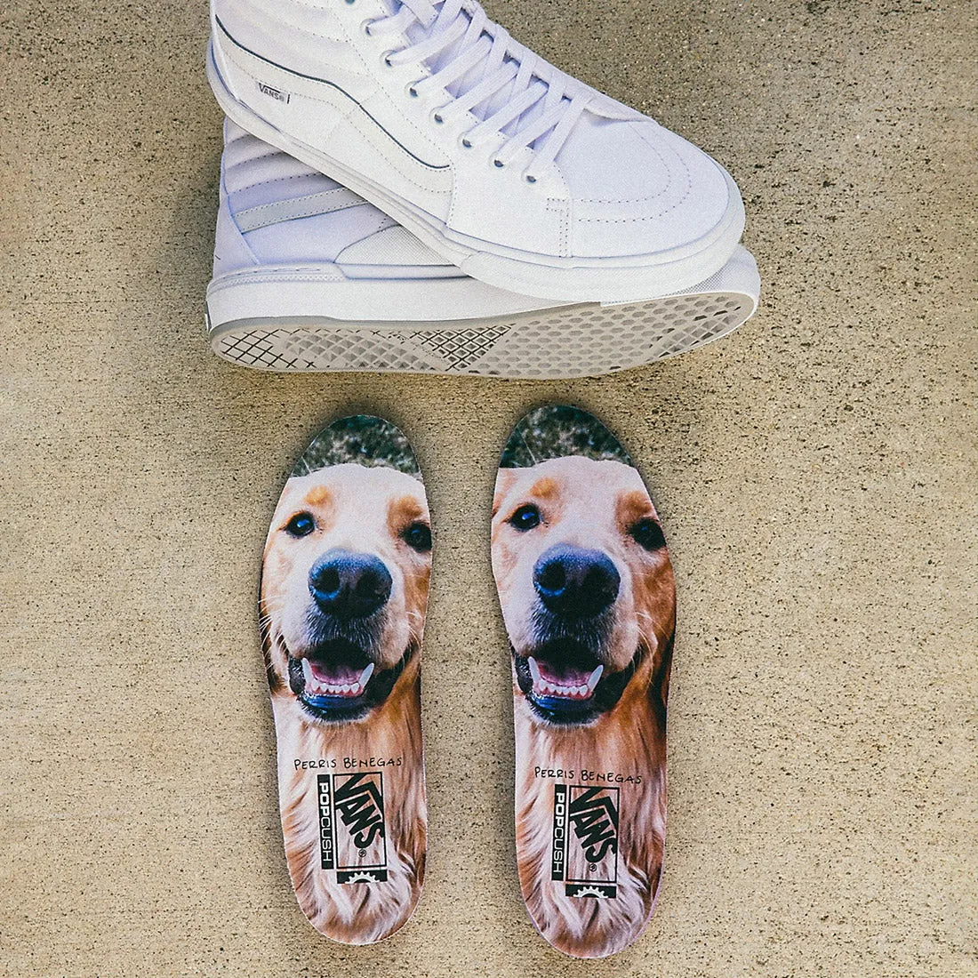 VANS BMX SK8-Hi Perris Benegas - White/Grey